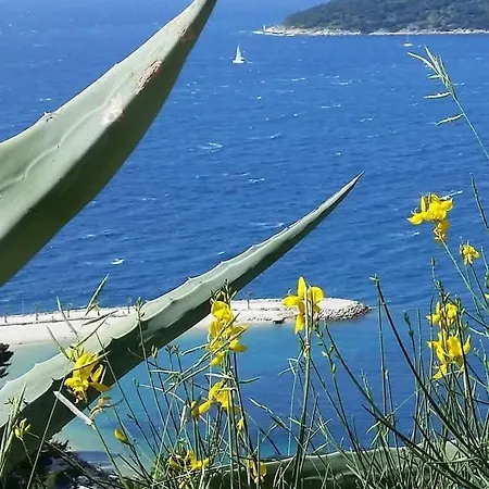 Apartment Apartments Slavica Trogir