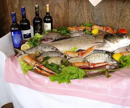 Slavica *