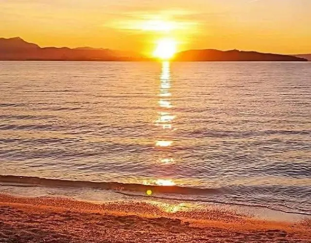 Slavica